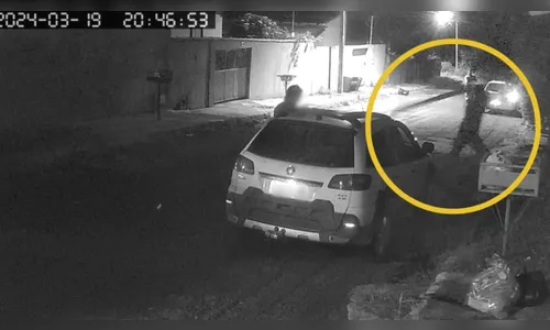 Homem é preso em flagrante por matar cachorro a pauladas