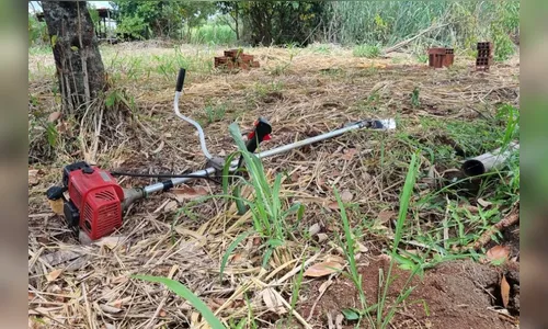 Idoso morre e esposa fica em estado grave após ataque de abelhas no PR