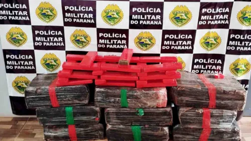 O motorista havia se embrenhado em um matagal, mas foi capturado