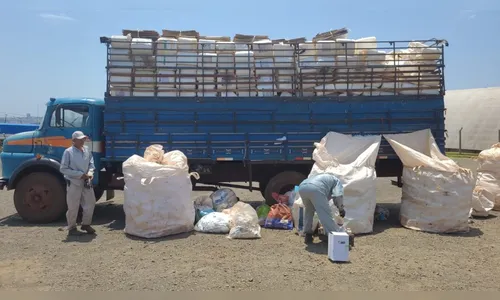 Ação recolhe embalagens de defensivos agrícolas na Caixa São Pedro