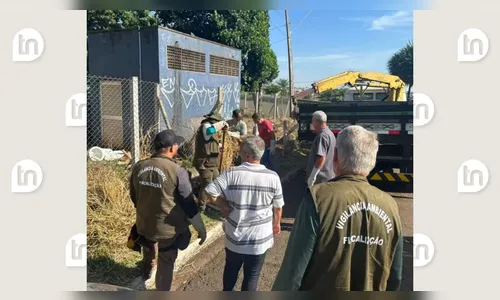 Mais de 50 escorpiões amarelos são capturados no campus da UEL