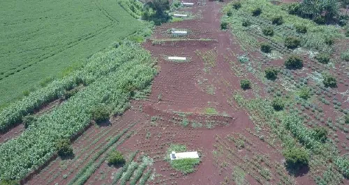 Obra está parada na fase inicial em Arapongas