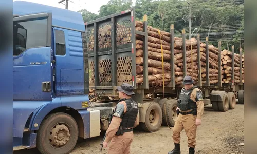 Receita Estadual apreende R$ 1 mi em mercadorias com irregularidade
