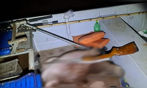 Homem é multado e preso por caça ilegal após matar capivara no Paraná