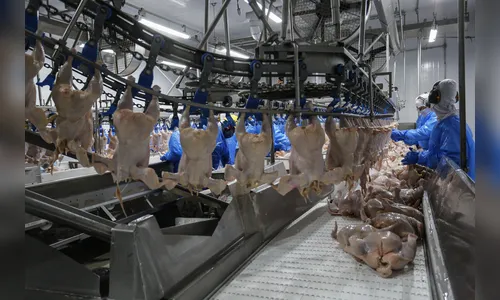 Mais 6 plantas do PR são habilitadas para exportar frango para China