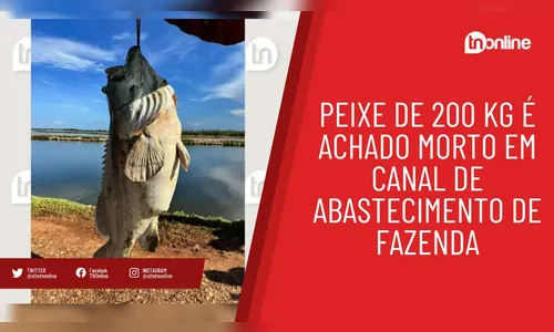 Peixe de 200 kg é achado morto em canal de abastecimento de fazenda
