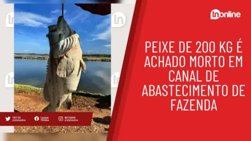 Peixe de 200 kg é achado morto em canal de abastecimento de fazenda