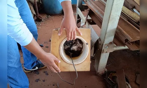 Paraná libera novo investimento de R$ 93 milhões no combate à dengue