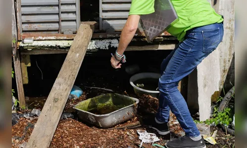 Cidade do Paraná proíbe população de armazenar água da chuva; entenda