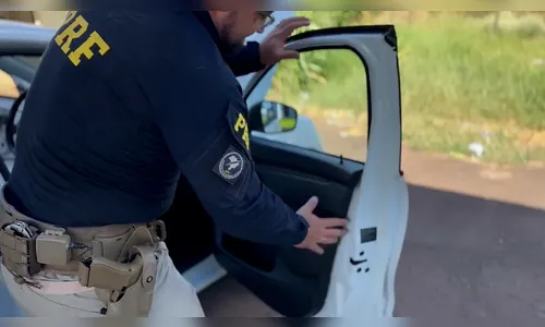 PRF apreende mais de 30 kg de maconha em carro na BR-369; veja