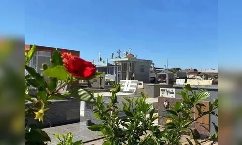 Confira os falecimentos desta sexta-feira (15) em Apucarana e região