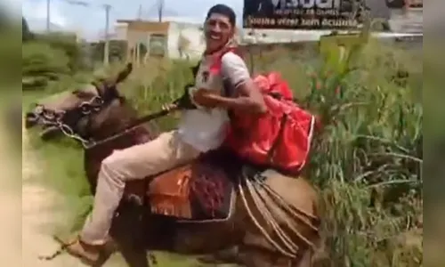 Entregador perde moto em blitz e usa burro para trabalhar; vídeo