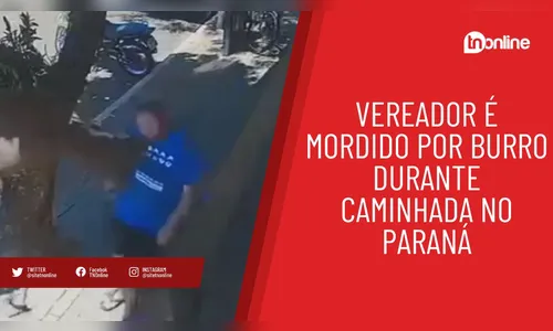 Vereador é mordido por burro durante caminhada no Paraná