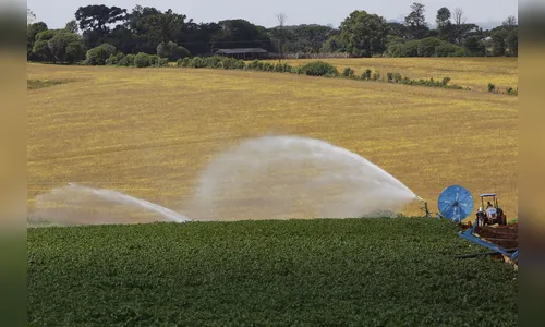 Paraná vai transformar segurança hídrica em política pública