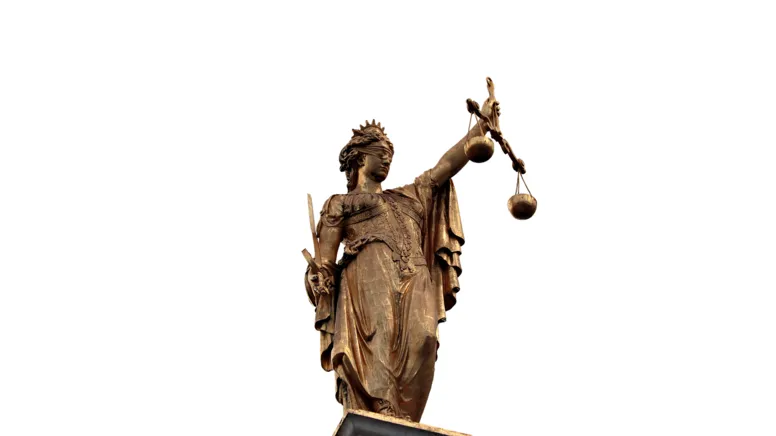 Imagem ilustrativa da notícia Dia Internacional da Mulher e os direitos previstos na legislação