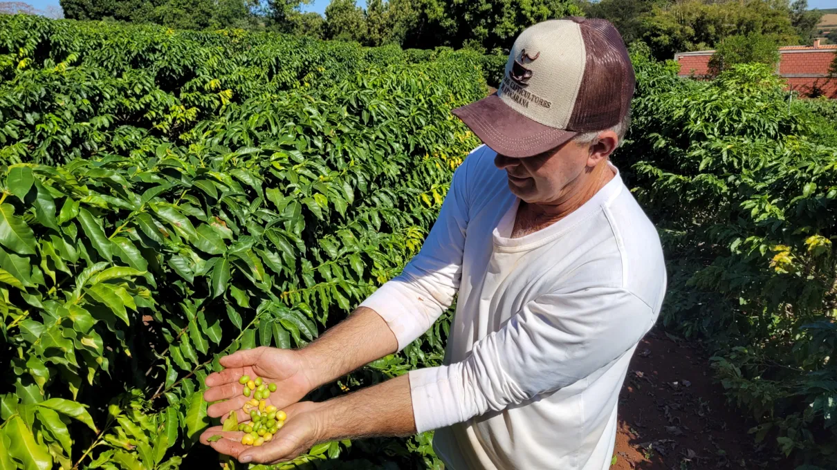 Carlos Bovo, presidente da Associação dos Cafeicultores de Apucarana