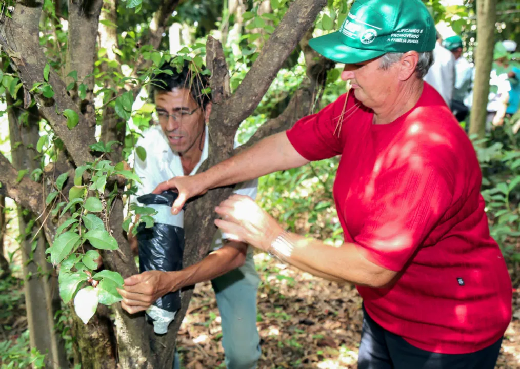 Curso acontecerá nos dias 18, 19 e 20 de abril