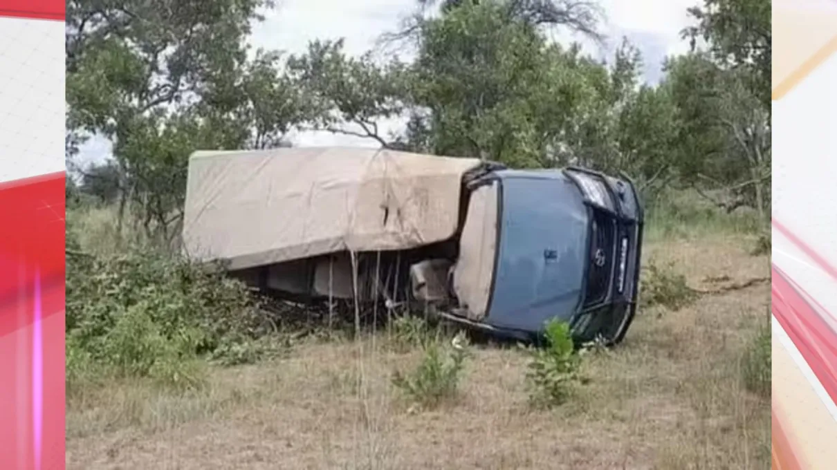 Elefante corre atrás de caminhão e mata uma pessoa em safari na África