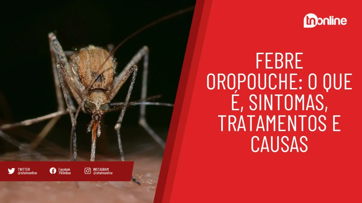 Febre oropouche: o que é, sintomas, tratamentos e causas