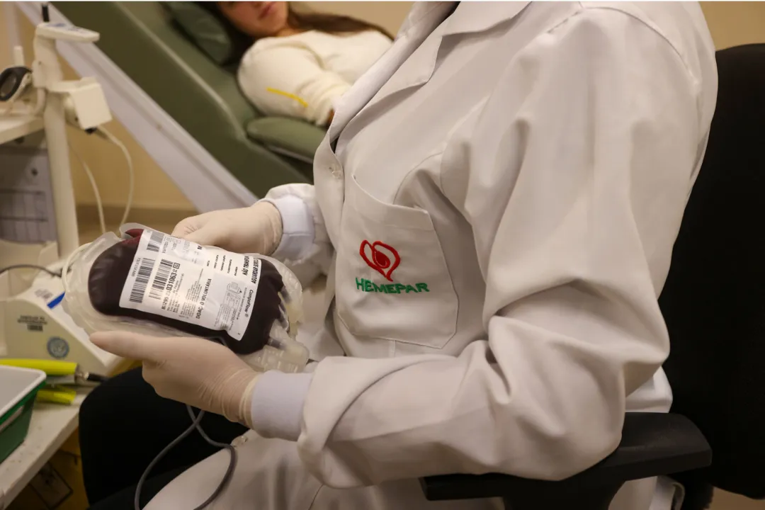 Homens podem doar sangue quatro vezes ao ano