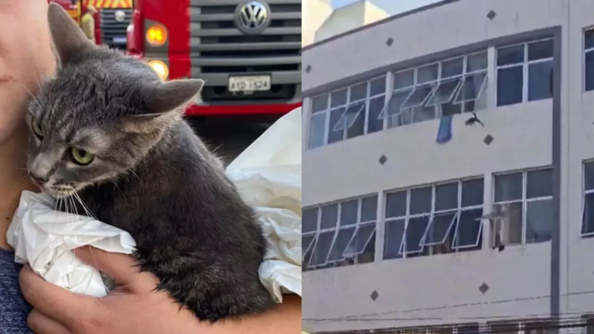 Hotel no centro de Curitiba pegou fogo nesta sexta (26)