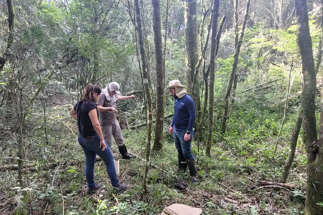 Núcleo Experimental de Restauração em Áreas Úmidas funciona na Fazenda Experimental Canguiri, em Pinhais