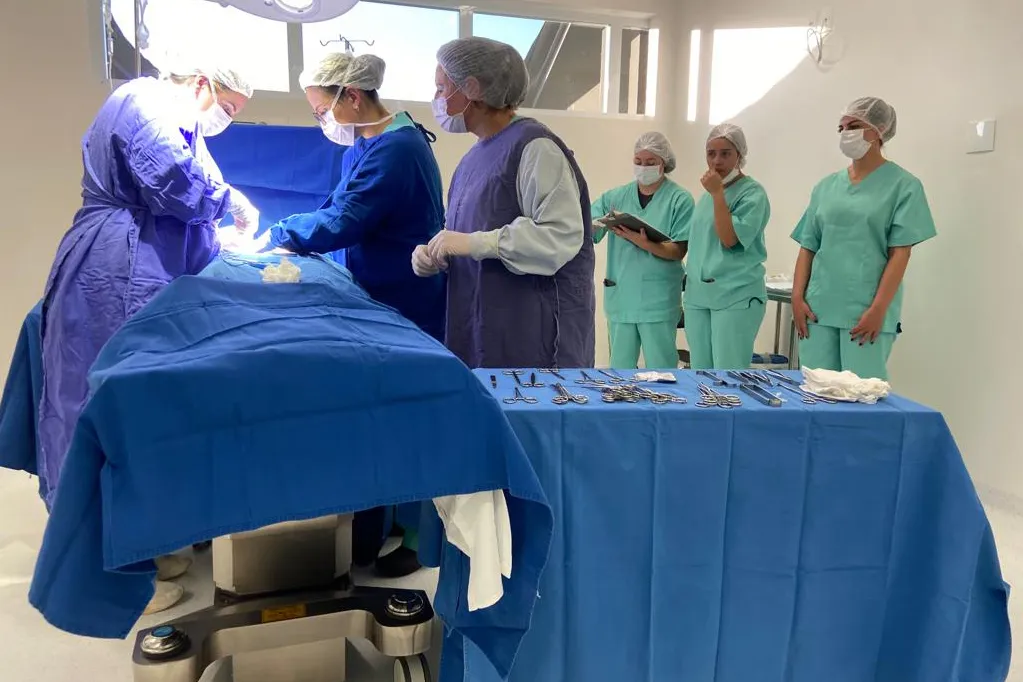 Unidade hospitalar quebrou recorde de procedimentos cirúrgicos