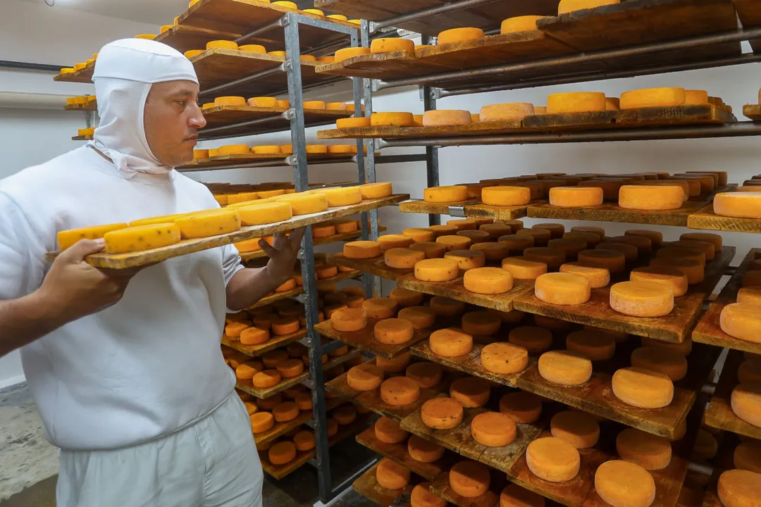 Witmarsum, Indicação Geografica dos queijos