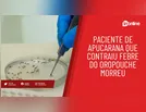 Apucarana registra caso de febre do oropouche; paciente morreu