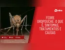 Febre oropouche: o que é, sintomas, tratamentos e causas