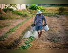 O despovoamento rural e a ruralidade em risco