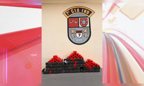 Operação da PM e Denarc apreende 150 kg de maconha em Arapongas