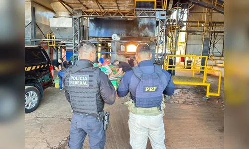 PRF e PF incineram mais de 8 toneladas de drogas apreendidas no Paraná