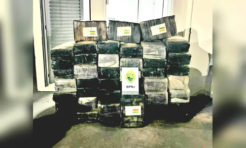 PRE apreende mais de uma tonelada de maconha no norte do Paraná