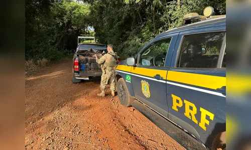 Após perseguição, PRF apreende mais de uma tonelada de maconha no PR