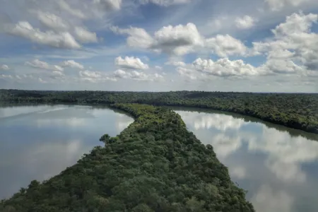 A atualização é obrigatória e pode ser feita via sistema online