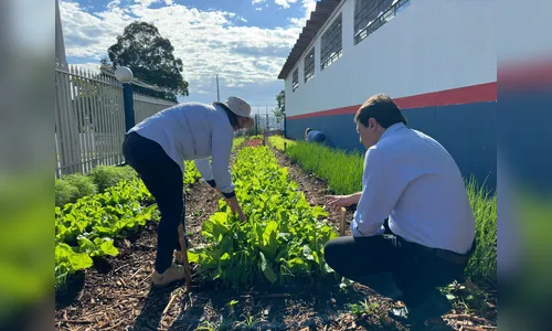 Horta Solidária começa a abastecer refeitório dos operários