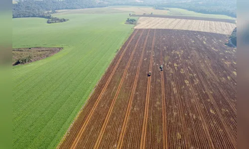 Governo do Estado divulga pesquisa com preços das terras agricultáveis