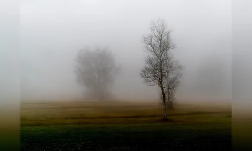 Previsão do tempo: veja como ficam as temperaturas nesta quinta (11)