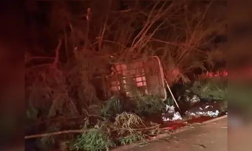 Vítimas de acidente com micro-ônibus estariam sem cinto, diz PRE