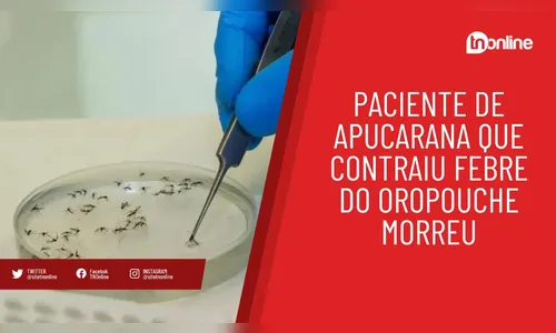 Apucarana registra caso de febre do oropouche; paciente morreu