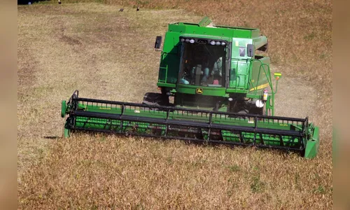 PR inicia colheita da 2ª safra com perspectiva de recorde de feijão