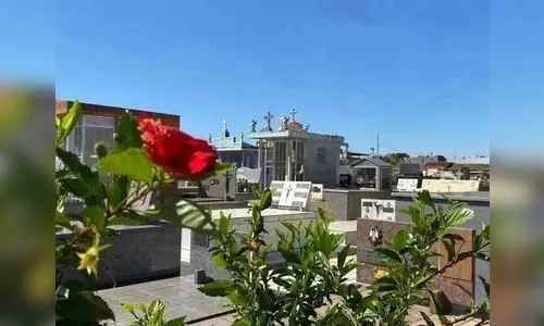 Confira os falecimentos desta terça (23) em Apucarana e região