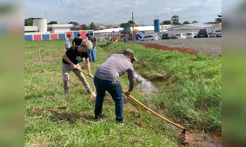 Alunos da UTFPR atuam na revitalização de nascente de córregos