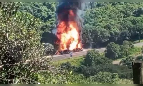 Caminhão com botijões de gás tomba e carga explode; motorista morreu