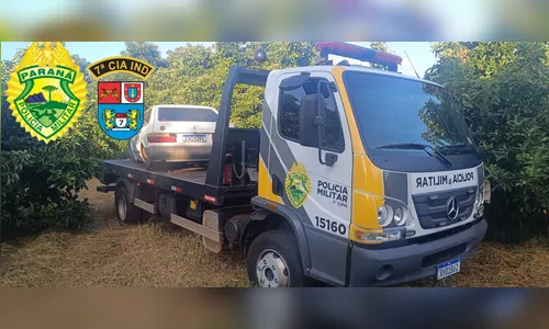 Carro furtado é encontrado 'depenado' em meio à plantação de abacate