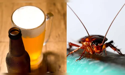 Projeto da IFPR cria cerveja de barata e pão de queijo com larvas