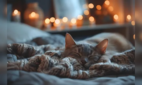 Condomínio e animais de estimação, entenda quais seus direitos