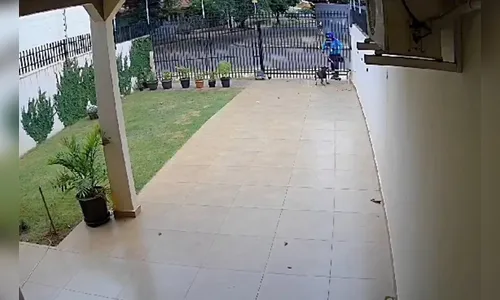 Funcionário da Sanepar é multado por agredir cachorro com bastão no PR