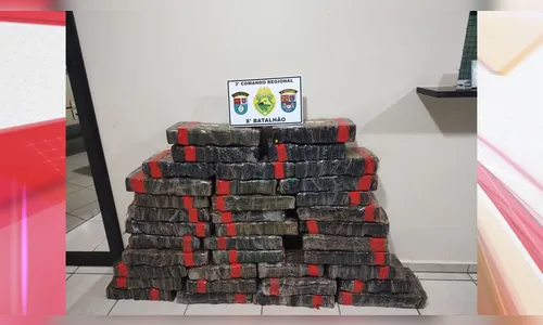 PM apreende quase 300 kg de maconha e recupera veículo no PR